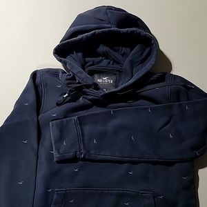 Hollister hoodie